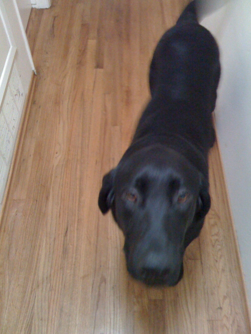 SpinettaPhD's profile picture. 