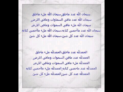 am_alk3bi Profile Picture