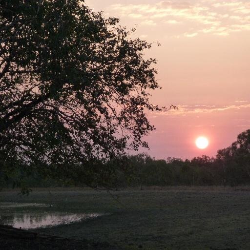 The views belong to Grant Fawcett and do not necessarily reflect those of GHF a Community owned charitable foundation of the Northern Gulf - Queensland