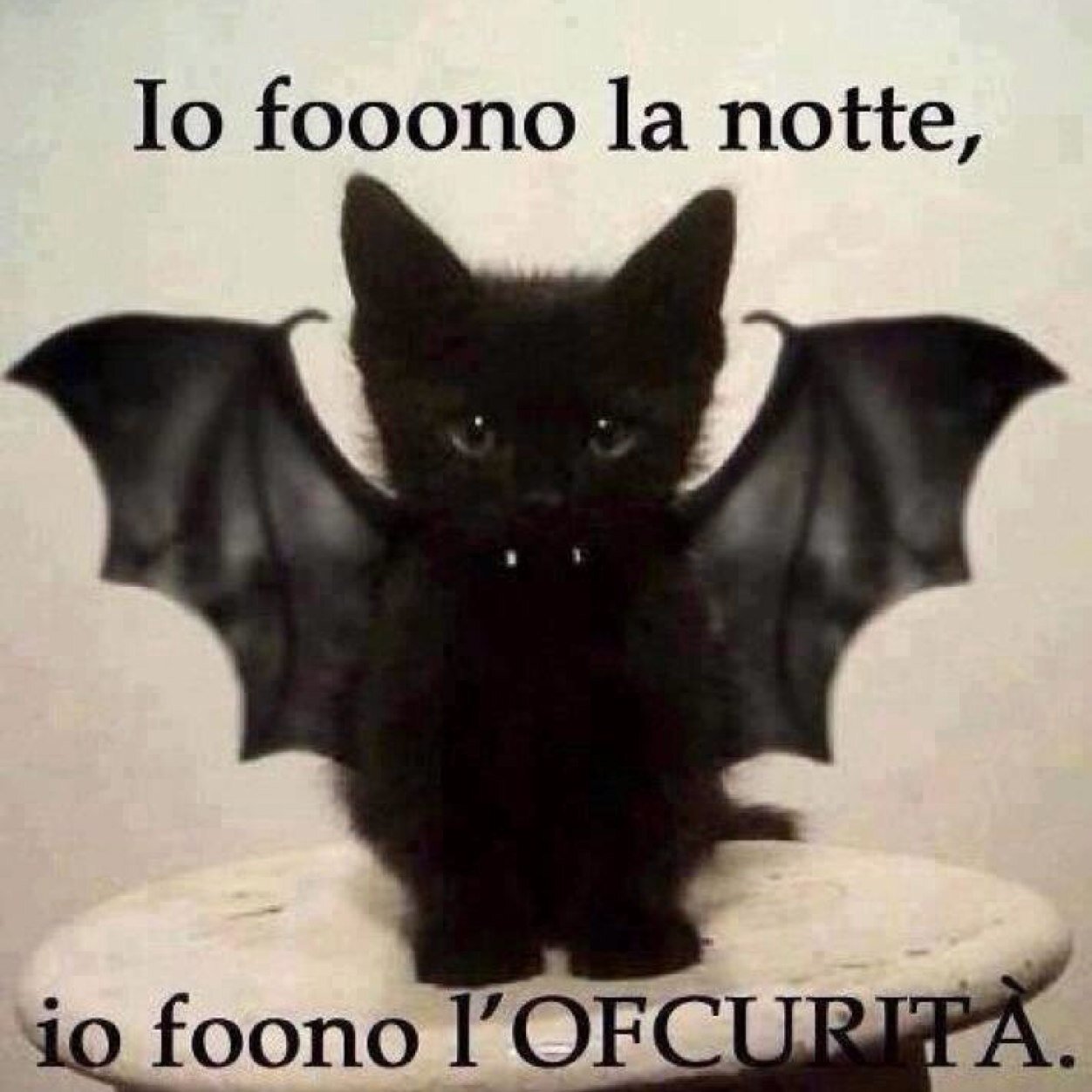 Imprescindibile!!!