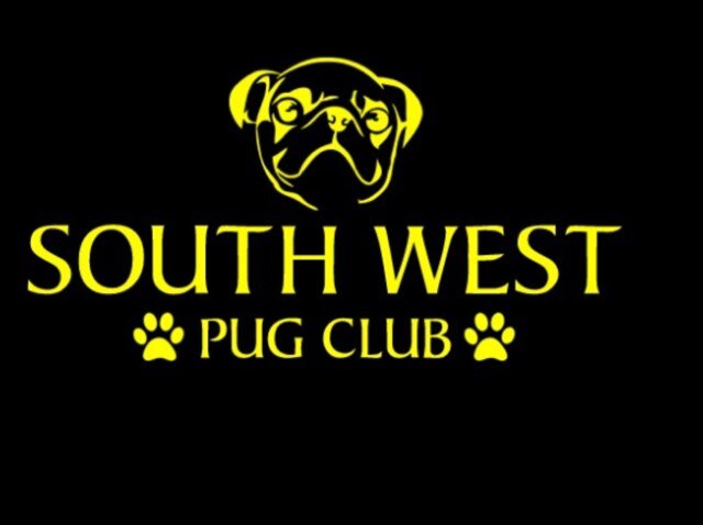pug club uk south west pug club swpugclub pug club uk south west pug club swpugclub