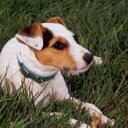 Tony Schaefer - @jtschaefer1 - Twitter