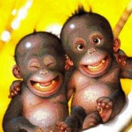 Cuando estás arriba, tus amigos saben quién eres; cuando estás abajo, tú sabes quiénes son tus amigos.