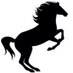 Spring Hill SPUB (@springhillspub) Twitter profile photo Spring Hill SPUB (@springhillspub) Twitter profile photo
