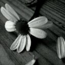 سوم...♡ (@056713sas) Twitter