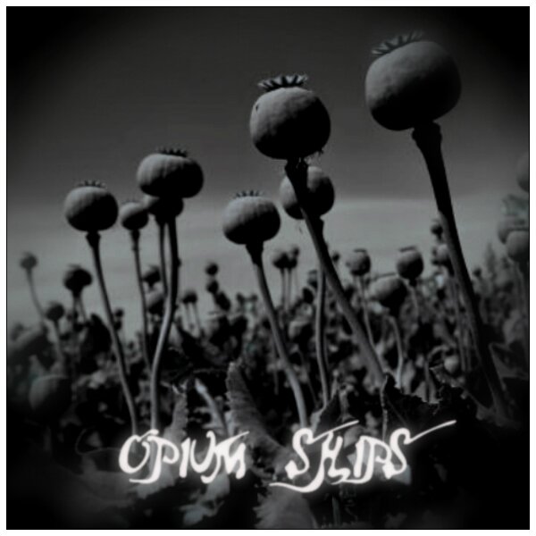 OpiumShips's profile picture. Music