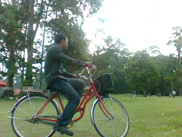 Pejuang tangguh