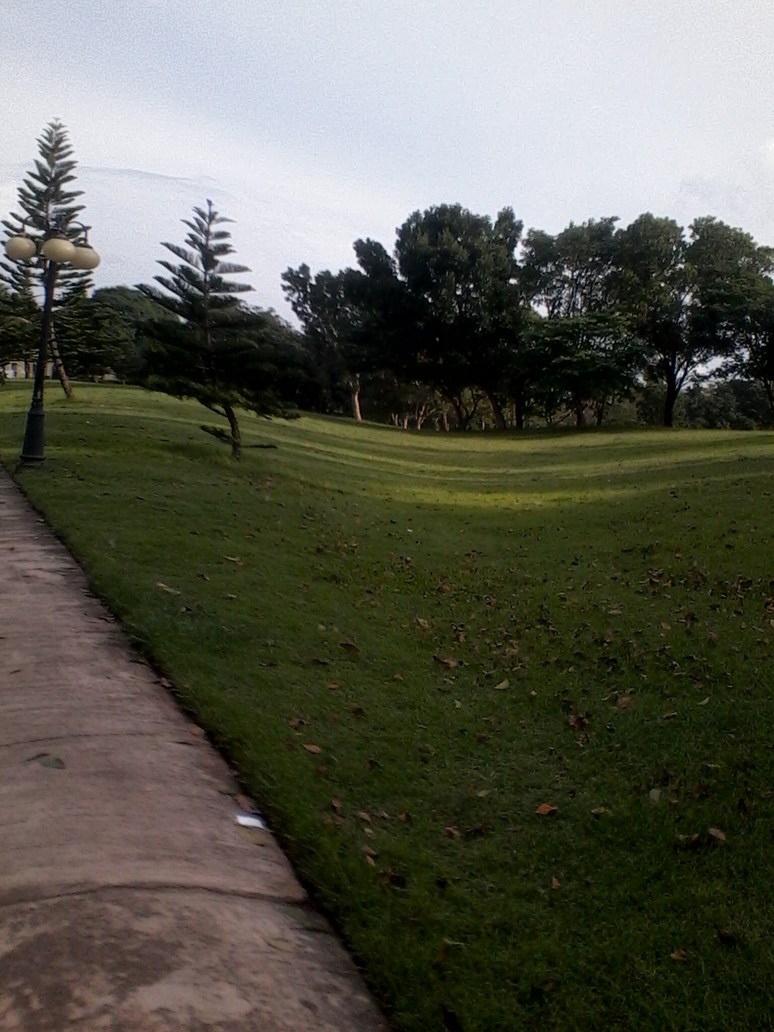 lucky1869's profile picture. 