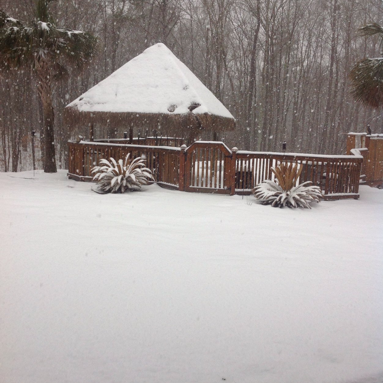 NancyMcCurry's profile picture. Guidance Counselor.  Emerald High School