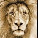 Mason Rawls - @MasonPitcher - Twitter