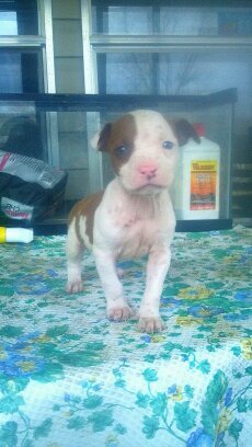 ernesthayward's profile picture. 