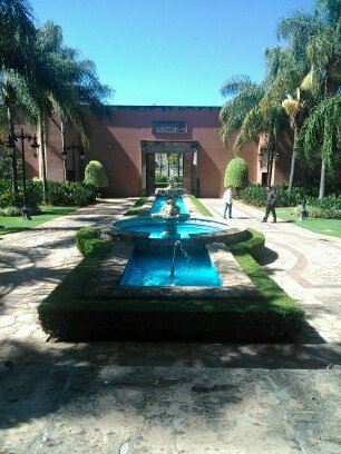 becetra's profile picture. 