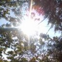 Jayne Allison - @jayne_allison - Twitter