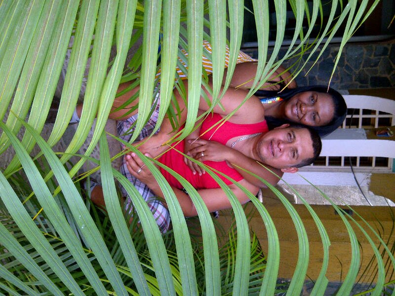 Picture