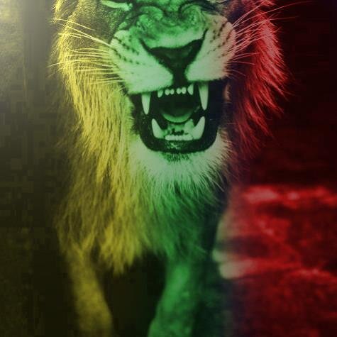 TheArnal2's profile picture. YOU CAN'T KNOCK ON OPPORTUNITY'S DOOR AND NOT BE READY #RS&A2'FOREVER