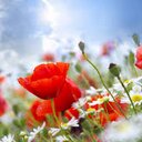 Eloisa Ochoa - @ochoa_eloisa - Twitter