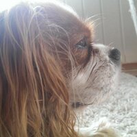 (((Anders Moe))) (@moeanders) 's Twitter Profile
