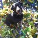 Joanne Fuller - @itjoanne53 - Twitter