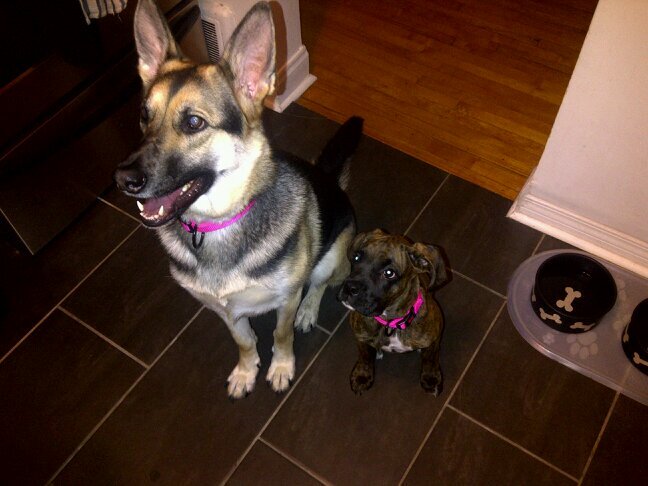 Millitaire's profile picture. 