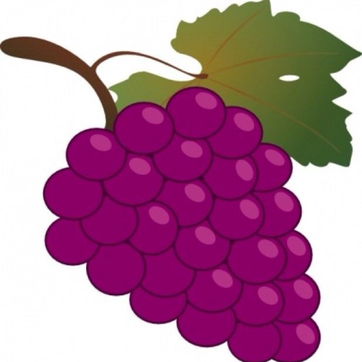 just some sassy grapes livin on a big vine FREE FOLLOW ::::Follow @samsbootay::::