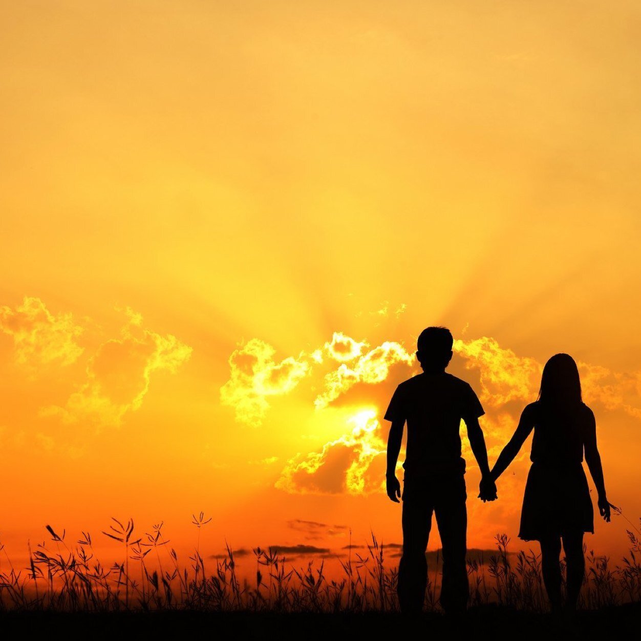 EllaSway6's profile picture. I love food, boys, volleyball, and life!