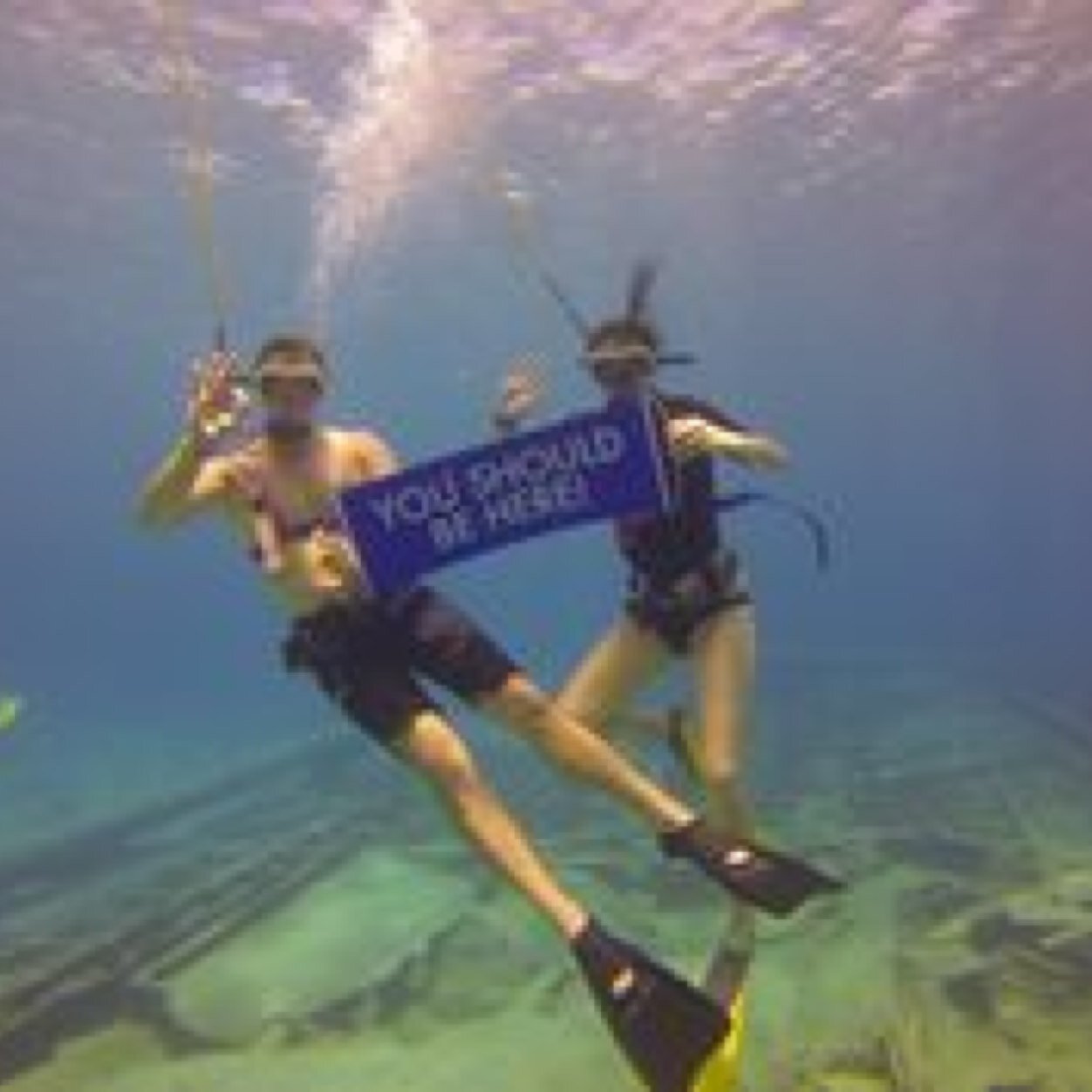 World__Ventures's profile picture. Make a living.. Living! You should work here, join our travel-loving passionate team! 

DM me for more info!