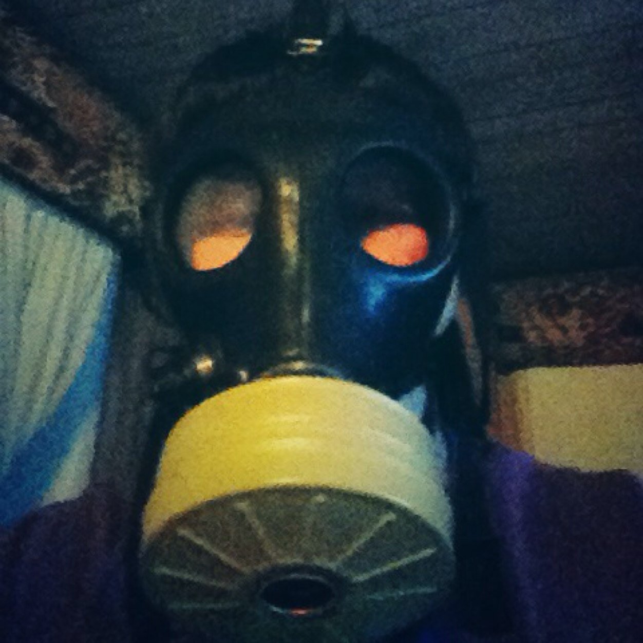 dirks_alec's profile picture. 