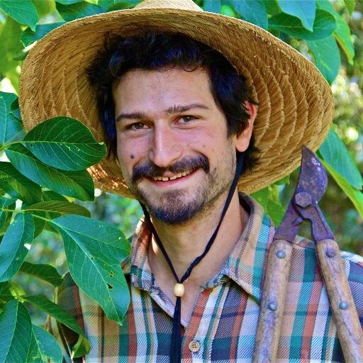 Andy Moskowitz Profile