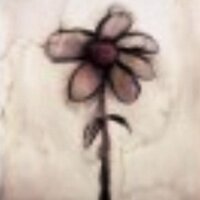 Armen Babajanian (@bigdifference) 's Twitter Profile Photo Armen Babajanian (@bigdifference) 's Twitter Profile Photo