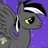 spnoelle's profile image