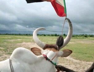 mabekcholbul's profile picture. 