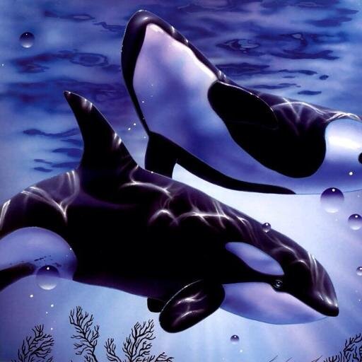 BB15 7th place finisher. Underwater model. Average whale with delusions of grandeur.  Accepting donations from gullible fans