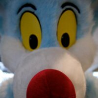 Scurrow Coyote(@ScurrowSquirrel) 's Twitter Profile Photo