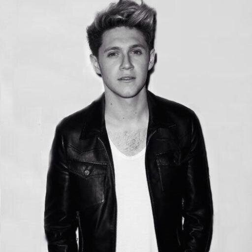 I'm Niall, i'm in One Direction. I sing and play an instrument with 6 strings on it !