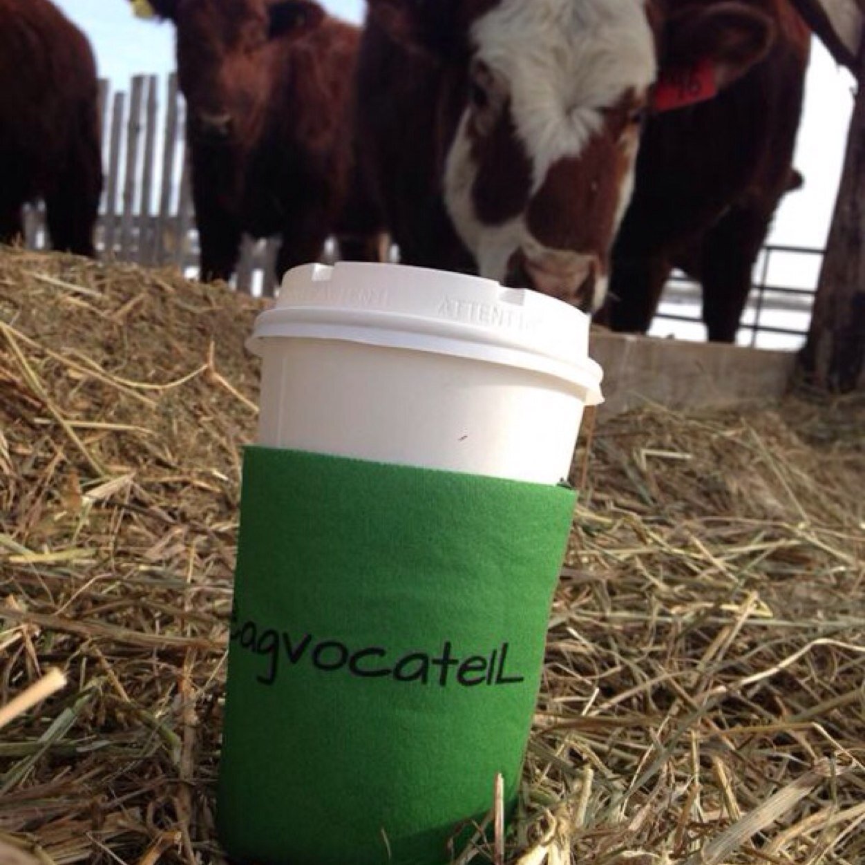 agvocateIL's profile picture. A non-profit twitter agvocating for today's industry, and tomorrow's future of Agriculture. Help promote a positive image using #agvocate.