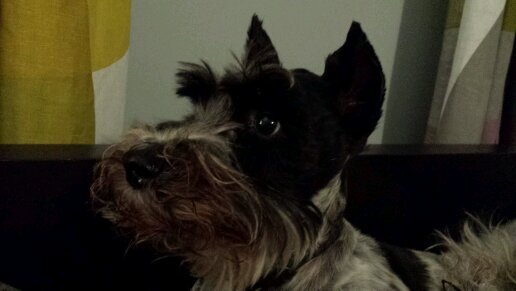 astabb123's profile picture. 