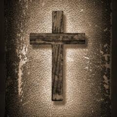 “Fear not, little flock, for it is your Father’s good pleasure to give you the kingdom. Luke 12:32