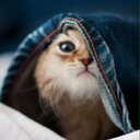 かほ - @dan98_pop - Twitter