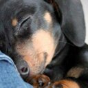 Kelli Sellers - @sellers_kelli - Twitter