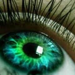 trayoflights's profile picture. just joined twitter... im all fingers and thumbs! dislike of injustice and abuse! here to learn and to help raise awareness RT with Hope and love