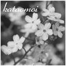 _kataomoi_'s profile picture. あなたと出会って何年が経ちましたか？長い時間ですね。