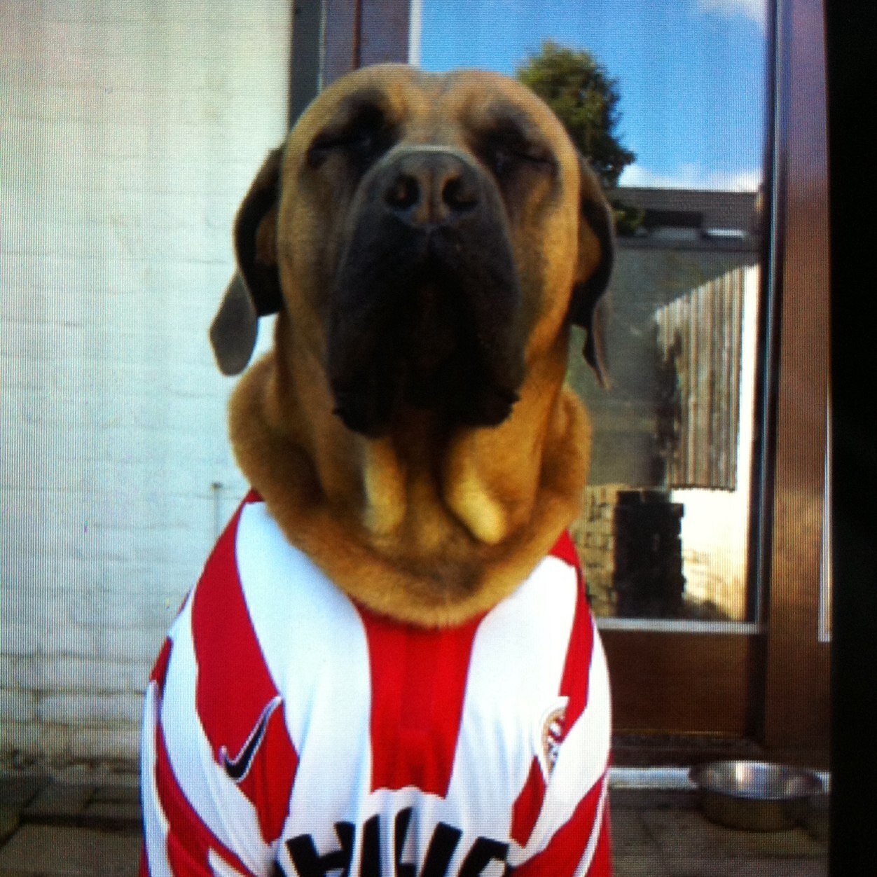 PSV ❤🤍❤