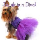 Sue Galloway - @suemaregalloway - Twitter