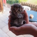 hi (@13Tull) Twitter
