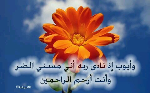 ‏‏اسلاميات ومعلومات ثقافية وعامة