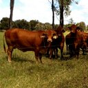 Donna Finger - @DonnaFinger - Twitter