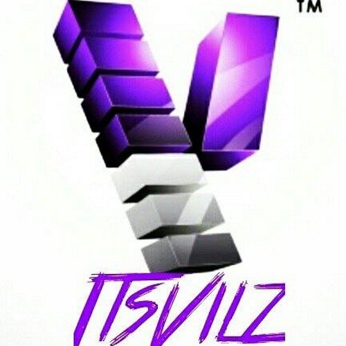 itsVilz's profile picture. 