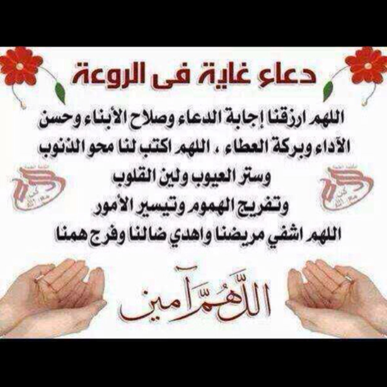 sal7m7's profile picture. 