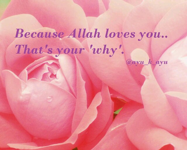 Rise The Ummah