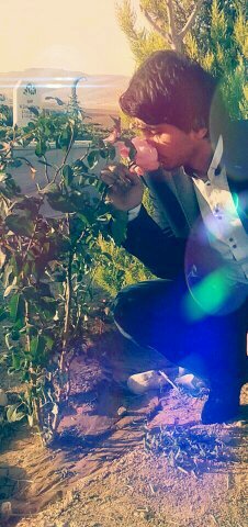 habbab21's profile picture. Ateşli ve ateşsz silahlarınzı, yni kalem, söz ve makinlı tüfeklrnzn namlusunu birbirinize değl, insanlık düşmanlarına ve onlrn başında gelen Amerikaya çevirin.